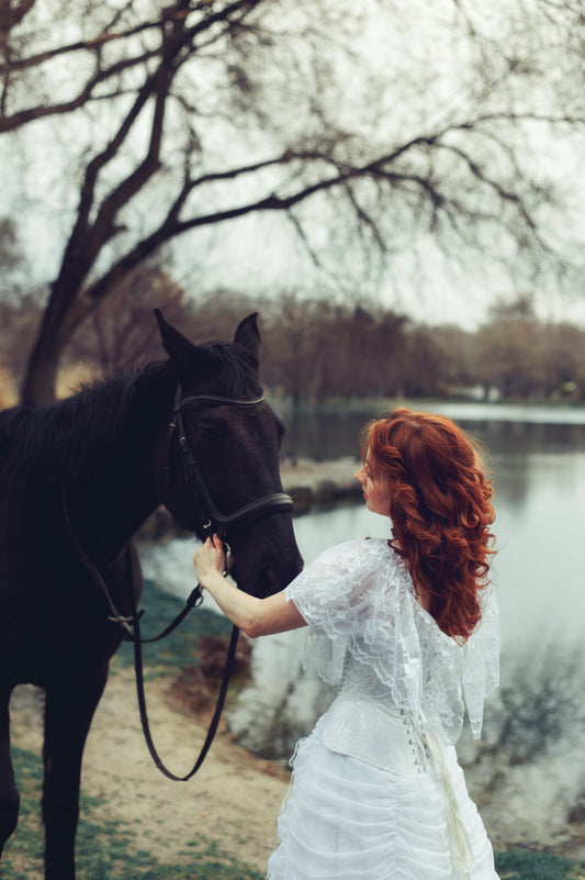 Twilight Dream